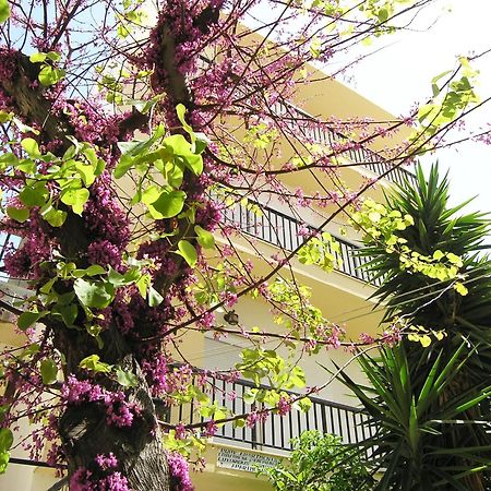 Popy Apartments Ierapetra  Exterior photo